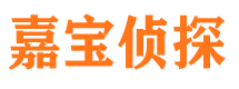 南浔市调查公司